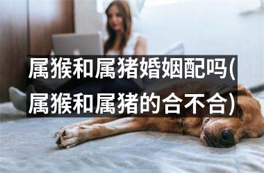 属猴和属猪婚姻配吗(属猴和属猪的合不合)