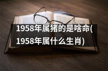 1958年属猪的是啥命(1958年属什么生肖)