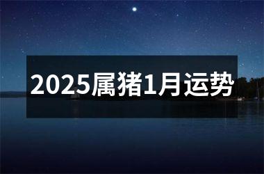 2025属猪1月运势