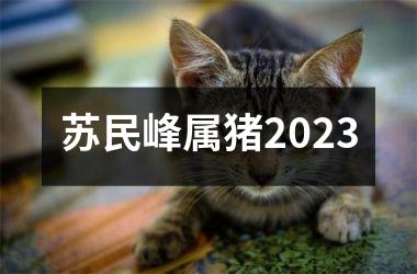 苏民峰属猪2025