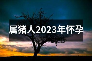 属猪人2025年怀孕