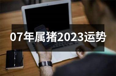 07年属猪2025运势