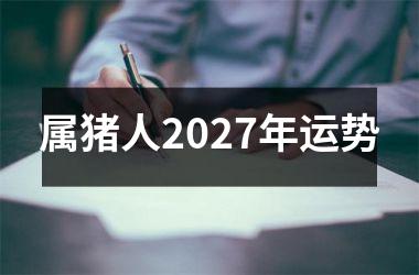 属猪人2027年运势