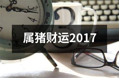 属猪财运2017