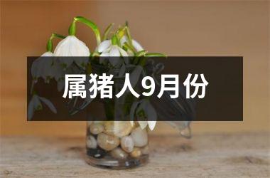 属猪人9月份