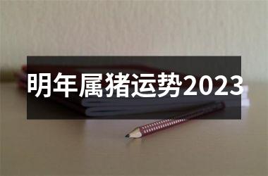 明年属猪运势2025