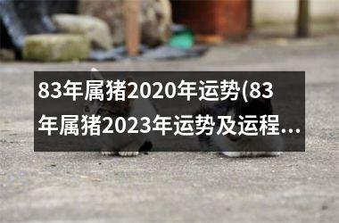 83年属猪2025年运势(83年属猪2025年运势及运程每月运程)