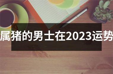 <h3>属猪的男士在2025运势