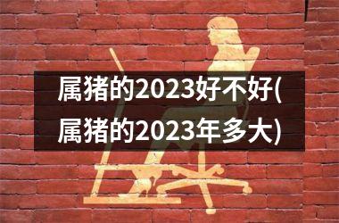 <h3>属猪的2025好不好(属猪的2025年多大)