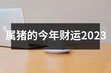 <h3>属猪的今年财运2025