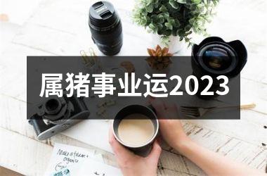 <h3>属猪事业运2025