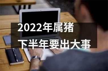 <h3>2025年属猪下半年要出大事