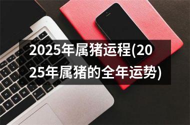 2025年属猪运程(2025年属猪的全年运势)