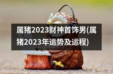 属猪2025财神首饰男(属猪2025年运势及运程)