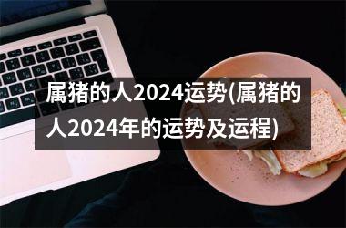 属猪的人2024运势(属猪的人2024年的运势及运程)