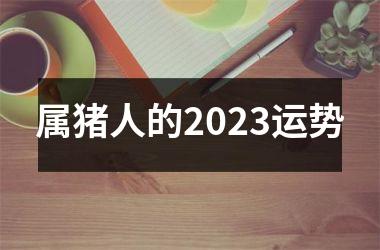 属猪人的2025运势