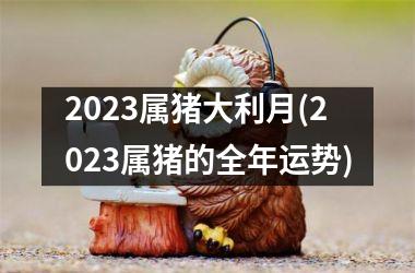 <h3>2023属猪大利月(2023属猪的全年运势)