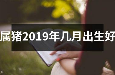 属猪2019年几月出生好