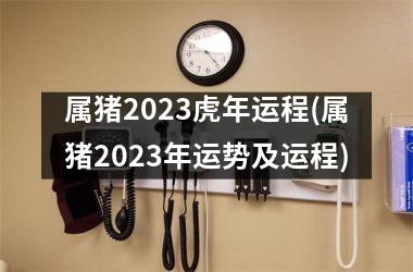 <h3>属猪2025虎年运程(属猪2025年运势及运程)