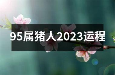 95属猪人2025运程