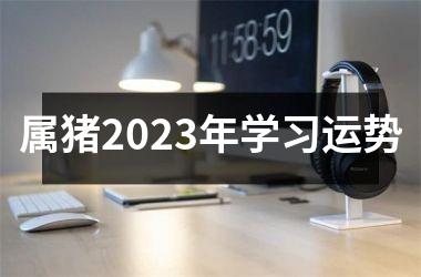 属猪2025年学习运势