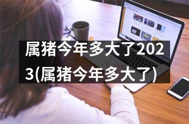 属猪今年多大了2025(属猪今年多大了)