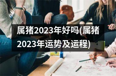 属猪2025年好吗(属猪2025年运势及运程)