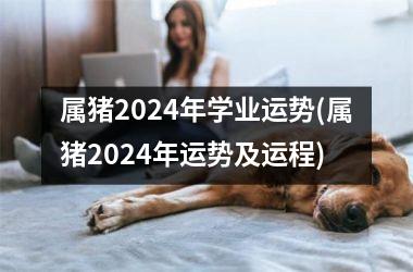 <h3>属猪2024年学业运势(属猪2024年运势及运程)