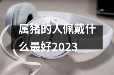 属猪的人佩戴什么好2025