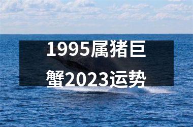 <h3>1995属猪巨蟹2025运势