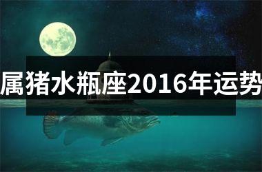 <h3>属猪水瓶座2016年运势