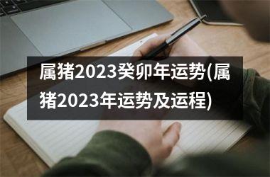 属猪2025癸卯年运势(属猪2025年运势及运程)