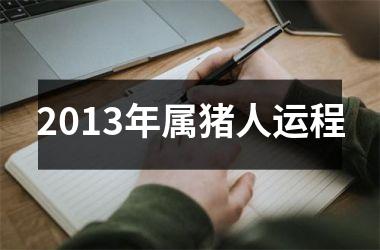 2013年属猪人运程