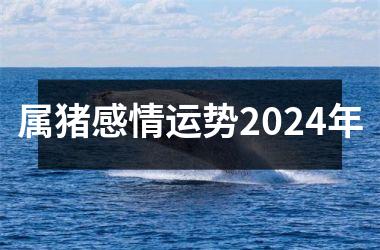 <h3>属猪感情运势2024年