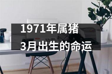 <h3>1971年属猪3月出生的命运