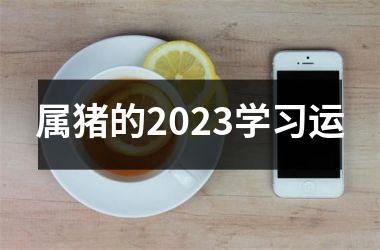 属猪的2025学习运