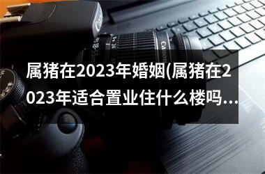 <h3>属猪在2025年婚姻(属猪在2025年适合置业住什么楼吗)