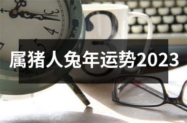 属猪人兔年运势2025