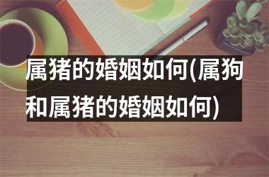 属猪的婚姻如何(属狗和属猪的婚姻如何)