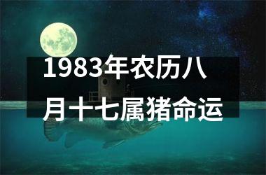 1983年农历八月十七属猪命运