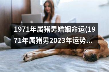 1971年属猪男婚姻命运(1971年属猪男2025年运势及运程每月运程)