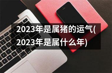 2025年是属猪的运气(2025年是属什么年)