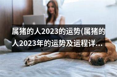 属猪的人2025的运势(属猪的人2025年的运势及运程详解)