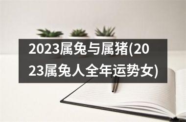 2025属兔与属猪(2025属兔人全年运势女)