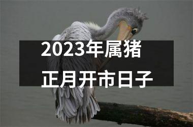 2025年属猪正月开市日子