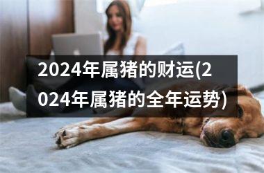 2024年属猪的财运(2024年属猪的全年运势)