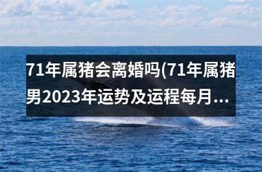 <h3>71年属猪会离婚吗(71年属猪男2025年运势及运程每月运程)