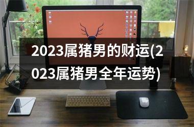 2025属猪男的财运(2025属猪男全年运势)