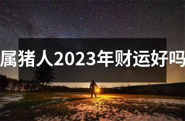 属猪人2025年财运好吗