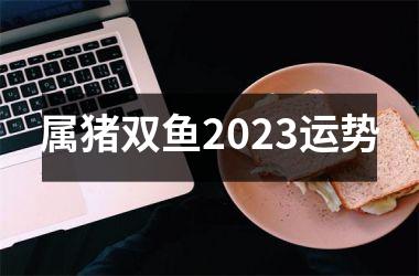 属猪双鱼2025运势